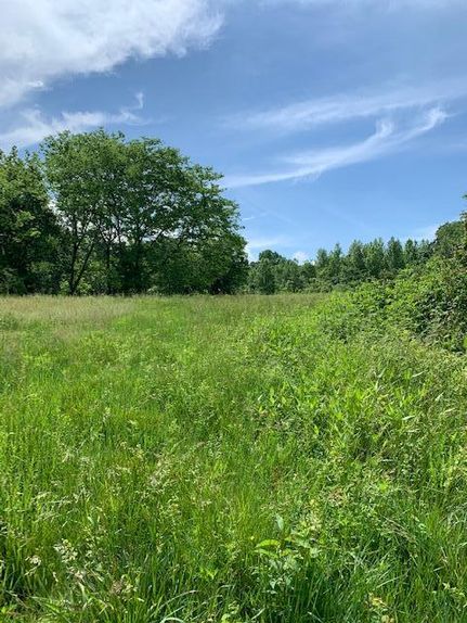 Farm and Ranch in Lyon County, Kentucky