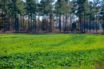 Recreational Property in Jasper County, South Carolina