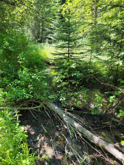 Timberland Property in Stevens County, Washington