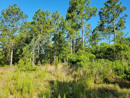 Land in Kershaw County, South Carolina