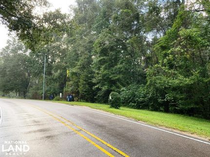 Timberland Property in Lamar County, Mississippi