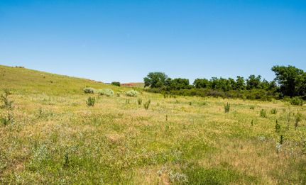 Timberland Property in Wheeler County, Texas