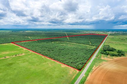 Undeveloped Land in Atascosa County, Texas