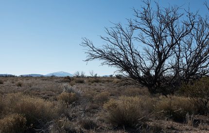 Undeveloped Land in Hudspeth County, Texas
