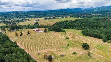 Timberland Property in Polk County, Oregon