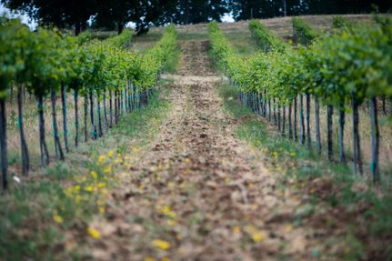 Land in Polk County, Oregon