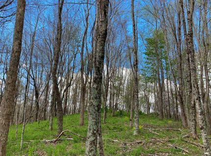 Farm and Ranch in Summers County, West Virginia