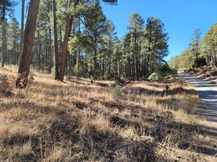 Timberland Property in Otero County, New Mexico