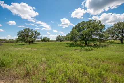 Timberland Property in Young County, Texas