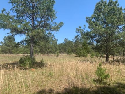Farm and Ranch in Covington County, Alabama