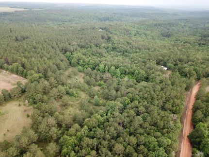 Farm and Ranch in Crenshaw County, Alabama