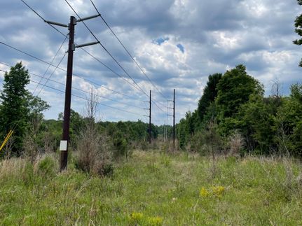 Undeveloped Land in Lexington County, South Carolina