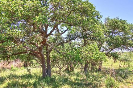 Land in Gillespie County, Texas