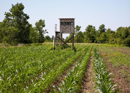 Recreational Property in New Madrid County, Missouri