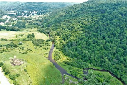 Timberland Property in Allegany County, New York