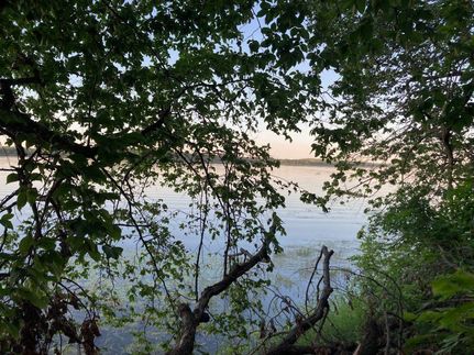 Undeveloped Land in Otter Tail County, Minnesota