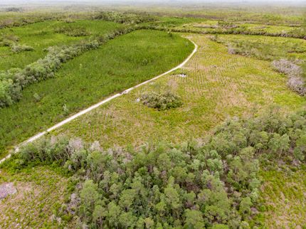 Timberland Property in Liberty County, Florida