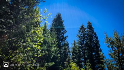 Farm and Ranch in Valley County, Idaho