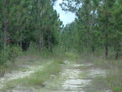 Land in Barnwell County, South Carolina