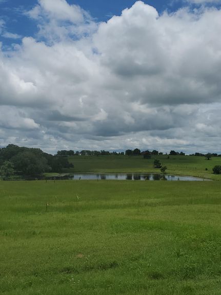 Farm and Ranch in Washington County, Texas