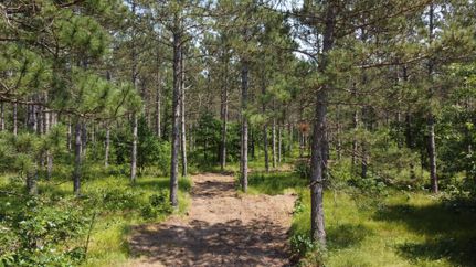 Timberland Property in Adams County, Wisconsin