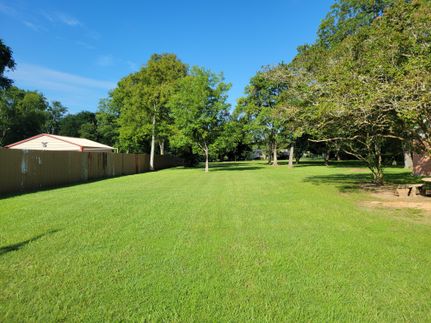 Undeveloped Land in Houston County, Texas