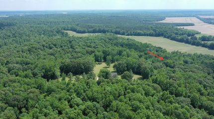 Undeveloped Land in Carroll County, Tennessee
