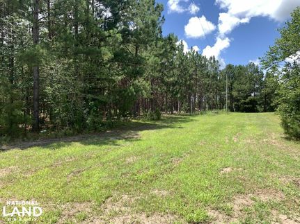 Farm and Ranch in Clarendon County, South Carolina
