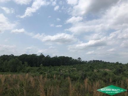 Undeveloped Land in Vernon Parish, Louisiana