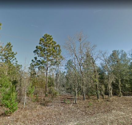 Undeveloped Land in Putnam County, Florida