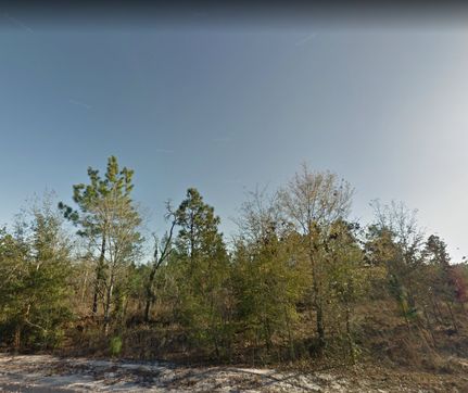 Farm and Ranch in Putnam County, Florida