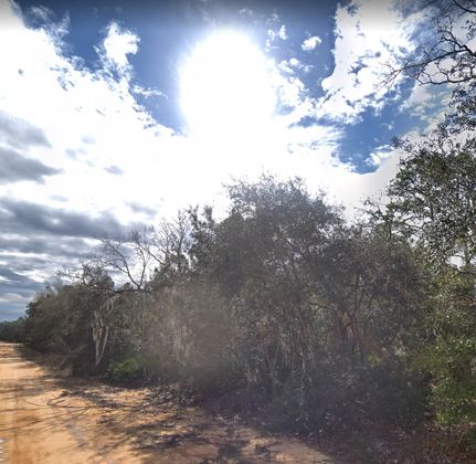 Undeveloped Land in Putnam County, Florida