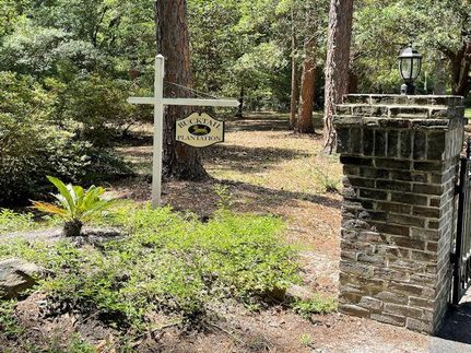 Timberland Property in Hampton County, South Carolina