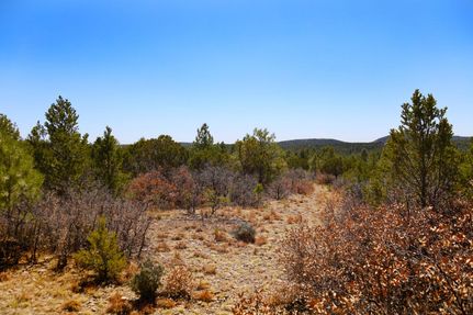 Hunting Property in Otero County, New Mexico