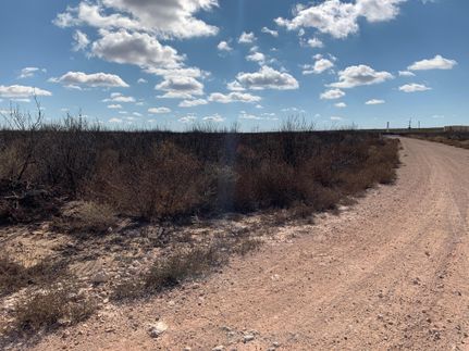 Undeveloped Land in Ward County, Texas