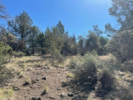Undeveloped Land in Klamath County, Oregon