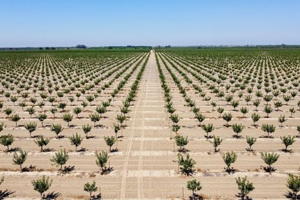 Land in Kings County, California