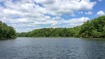 Timberland Property in Abbeville County, South Carolina