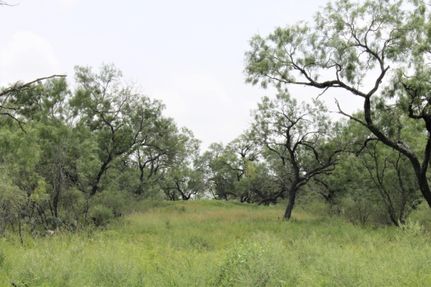 Land in Atascosa County, Texas