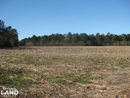 Farm and Ranch in Sumter County, South Carolina