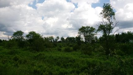 Undeveloped Land in Iron County, Michigan