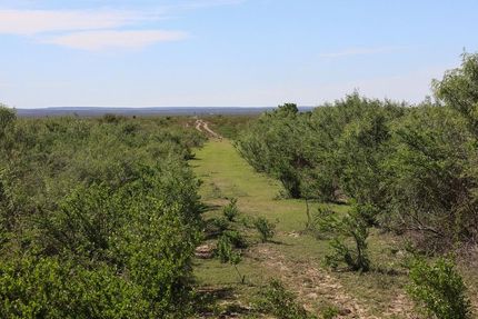 Land in Terrell County, Texas