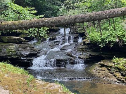 Recreational Property in Marion County, Tennessee