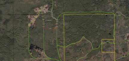 Hunting Property in Madison County, Florida
