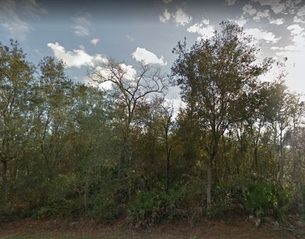 Undeveloped Land in Putnam County, Florida