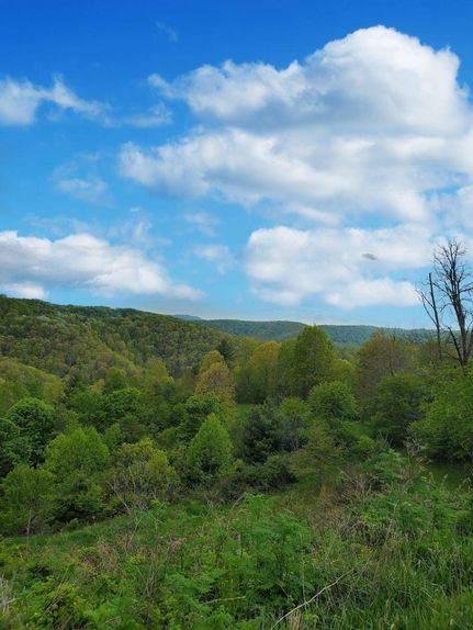 House in Mercer County, West Virginia
