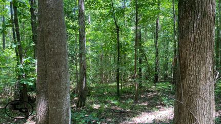 Recreational Property in Hale County, Alabama