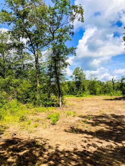 Farm and Ranch in Jasper County, Texas