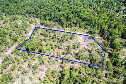 Undeveloped Land in Jasper County, Texas