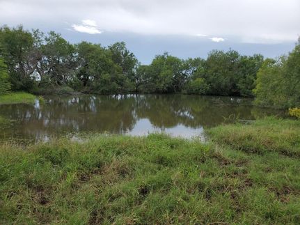 Land in Atascosa County, Texas